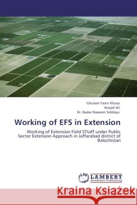 Working of EFS in Extension Yasin Khoso, Ghulam, Ali, Amjad, Siddiqui, Badar Naseem 9783846501368 LAP Lambert Academic Publishing