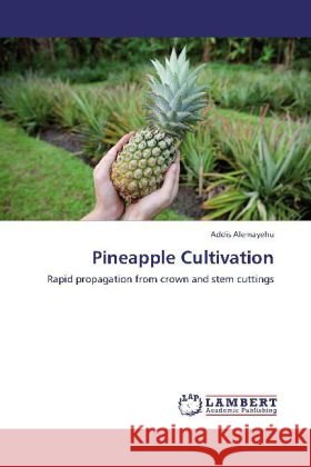 Pineapple Cultivation Alemayehu, Addis 9783846530405