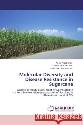 Molecular Diversity and Disease Resistance in Sugarcane Afzal Khan, Aqeel, Ahmad Khan, Farooq, Bin Mustafa, Hafiz Saad 9783846532386