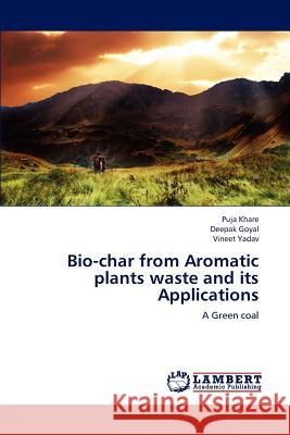 Resilience and Protective Factors Yenework Andarge 9783846532515 LAP Lambert Academic Publishing