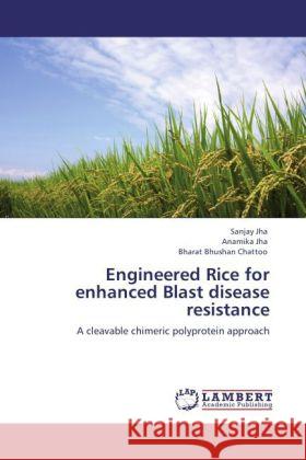 Engineered Rice for enhanced Blast disease resistance Jha, Sanjay, Jha, Anamika, Chattoo, Bharat Bhushan 9783846532966 LAP Lambert Academic Publishing