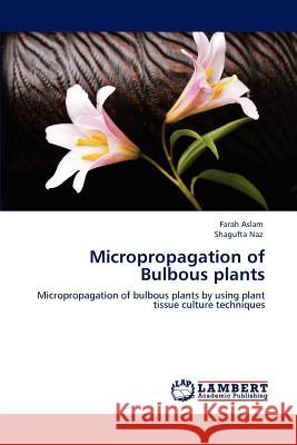 Micropropagation of Bulbous plants Aslam, Farah 9783846539545 LAP Lambert Academic Publishing AG & Co KG