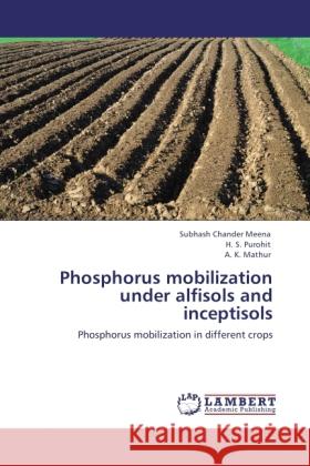 Phosphorus mobilization under alfisols and inceptisols : Phosphorus mobilization in different crops Meena, Subhash Chander; Purohit, H. S.; Mathur, A. K. 9783846543962