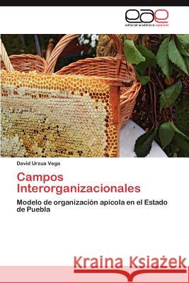 Campos Interorganizacionales David Urzu 9783846562505 Editorial Acad Mica Espa Ola