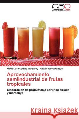 Aprovechamiento semiindustrial de frutas tropicales Carrillo Inungaray María Luisa 9783846562734 Editorial Acad Mica Espa Ola