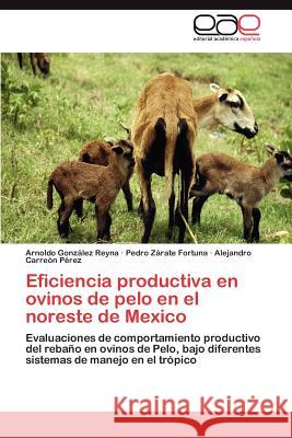 Eficiencia productiva en ovinos de pelo en el noreste de Mexico González Reyna Arnoldo 9783846565544 Editorial Acad Mica Espa Ola