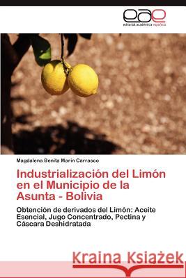 Industrializacion del Limon En El Municipio de La Asunta - Bolivia Magdalena Benita Mari 9783846571071 Editorial Acad Mica Espa Ola
