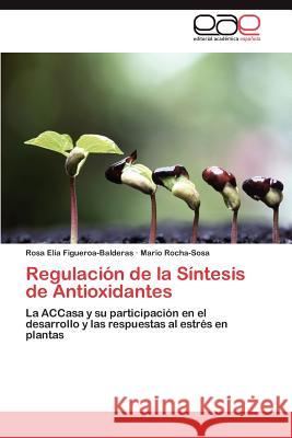Regulación de la Síntesis de Antioxidantes Figueroa-Balderas Rosa Elia 9783846572115 Editorial Acad Mica Espa Ola