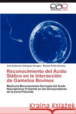 Reconocimiento del Ácido Siálico en la Interacción de Gametos Bovinos Velásquez Penagos José Guillermo 9783846573228
