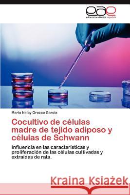 Cocultivo de células madre de tejido adiposo y células de Schwann Orozco García María Nelcy 9783846574515