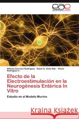 Efecto de la Electroestimulación en la Neurogénesis Entérica In Vitro Carreón Rodríguez Alfonso 9783846578551