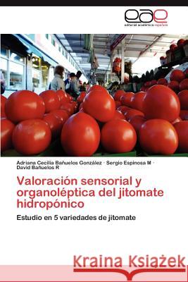 Valoración sensorial y organoléptica del jitomate hidropónico Bañuelos González Adriana Cecilia 9783846579923 Editorial Acad Mica Espa Ola
