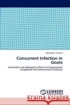 Concurrent Infection in Goats Abebayehu Tadesse   9783846586471 LAP Lambert Academic Publishing AG & Co KG