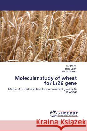 Molecular Study of Wheat for Lr26 Gene Liaqat Ali, Inam Ullah, Wesal Ahmad 9783846588222