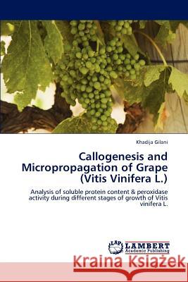 Callogenesis and Micropropagation of Grape (Vitis Vinifera L.) Khadija Gilani   9783846588949 LAP Lambert Academic Publishing AG & Co KG