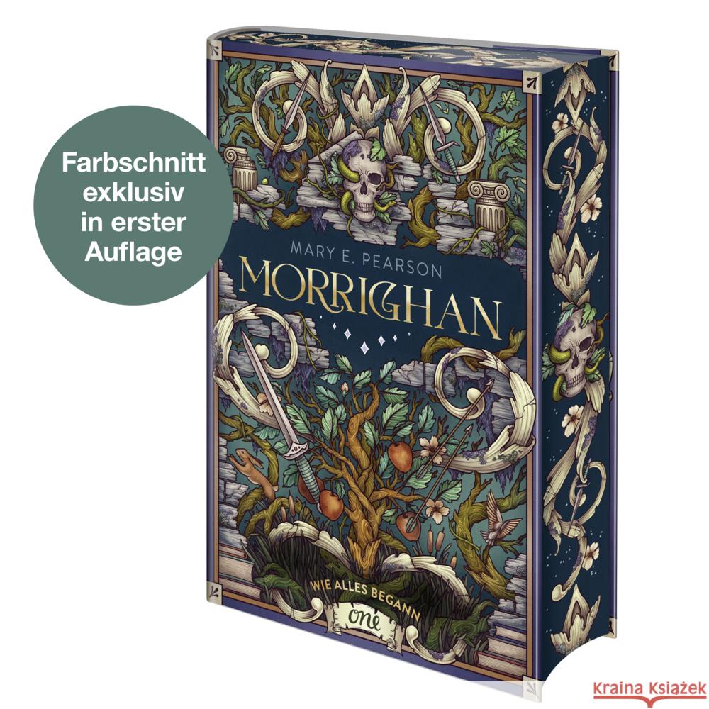 Morrighan - Wie alles begann Pearson, Mary E. 9783846602317