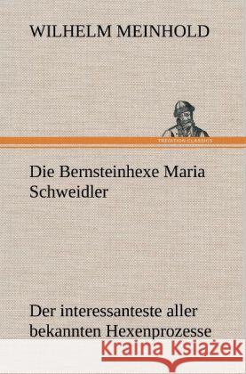 Die Bernsteinhexe Maria Schweidler Meinhold, Wilhelm 9783847256892