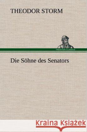 Die Söhne des Senators Storm, Theodor 9783847262305 TREDITION CLASSICS