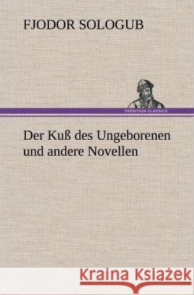 Der Kuß des Ungeborenen und andere Novellen Sologub, Fjodor 9783847267218