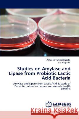 Studies on Amylase and Lipase from Probiotic Lactic Acid Bacteria Anteneh Tamirat Bogale S.G. Prapulla  9783847318071 LAP Lambert Academic Publishing AG & Co KG