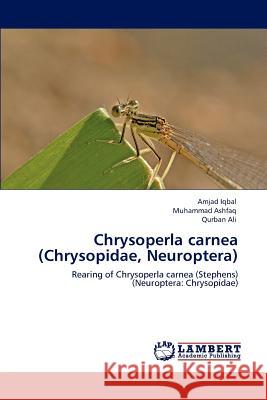 Chrysoperla carnea (Chrysopidae, Neuroptera) Iqbal, Amjad 9783847320647