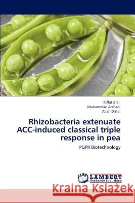 Rhizobacteria extenuate ACC-induced classical triple response in pea Bibi, Riffat 9783847323730 LAP Lambert Academic Publishing AG & Co KG