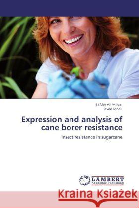 Expression and Analysis of Cane Borer Resistance Safdar Ali Mirza, Javed Iqbal 9783847324935 LAP Lambert Academic Publishing