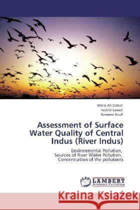 Assessment of Surface Water Quality of Central Indus (River Indus) Waris Ali Gabol, Rashid Saeed, Naseem Rauf 9783847331834