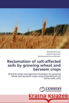 Reclamation of salt-affected soils by growing wheat and berseem crops Murtaza, Behzad, Murtaza, Ghulam, Zia-ur-Rehman, Muhammad 9783847332473