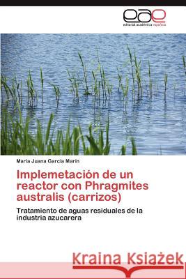 Implemetación de un reactor con Phragmites australis (carrizos) García Marín María Juana 9783847350712