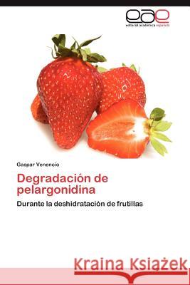 Degradacion de Pelargonidina Gaspar Venencio 9783847351023 Editorial Acad Mica Espa Ola