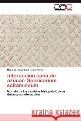 Interaccion Cana de Azucar- Sporisorium Scitamineum Mar a. De La Luz L 9783847361817 Editorial Acad Mica Espa Ola