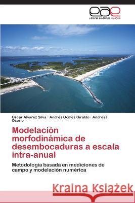 Modelación morfodinámica de desembocaduras a escala intra-anual Alvarez Silva Oscar 9783847368410