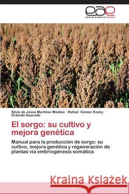 El Sorgo: Su Cultivo y Mejora Genetica Martinez Medina Silvio de Jesus 9783847369424 Editorial Academica Espanola