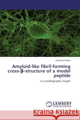 Amyloid-like fibril-forming cross-β-structure of a model peptide Debasish Haldar 9783847371427