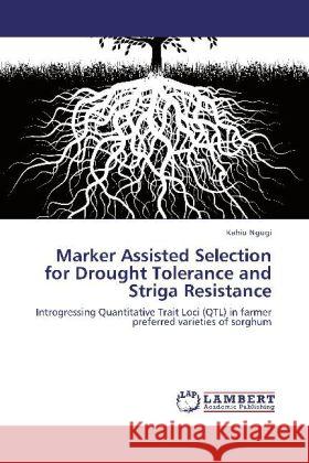 Marker Assisted Selection for Drought Tolerance and Striga Resistance Ngugi, Kahiu 9783847372134