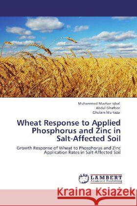 Wheat Response to Applied Phosphorus and Zinc in Salt-Affected Soil Iqbal, Muhammad Mazhar, Ghafoor, Abdul, Murtaza, Ghulam 9783847372394 LAP Lambert Academic Publishing