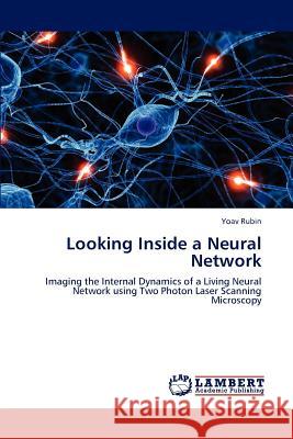 Looking Inside a Neural Network Yoav Rubin   9783847378686 LAP Lambert Academic Publishing AG & Co KG