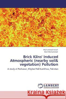 Brick Kilns' Induced Atmospheric (nearby soil & vegetation) Pollution Ismail, Muhammad, Muhammad, Dost 9783847379171