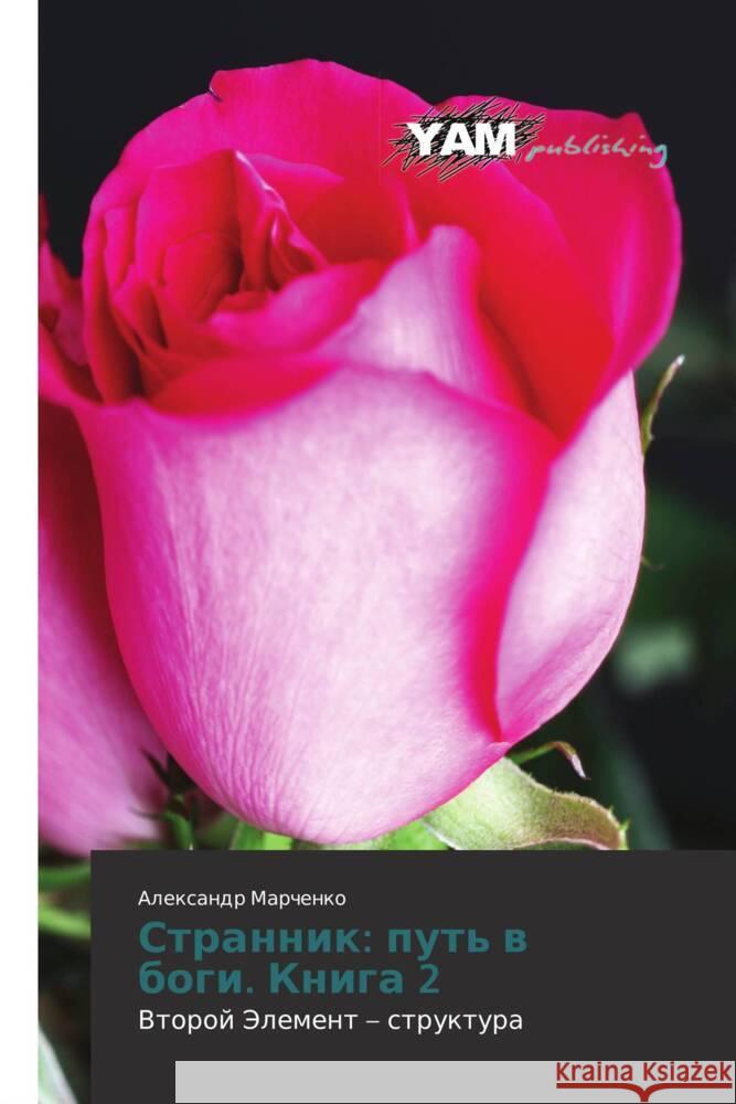 Strannik: put' w bogi. Kniga 2 Marchenko, Alexandr 9783847384649