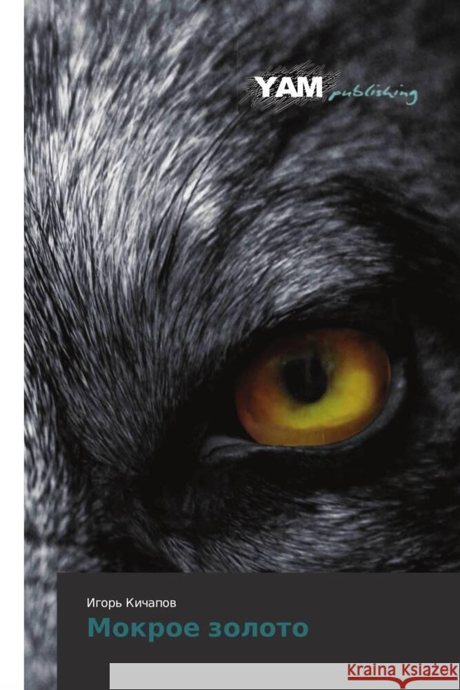 Mokroe zoloto Kichapov, Igor' 9783847384878 YAM Young Authors Masterpieces Publishing