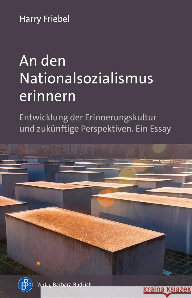 An den Nationalsozialismus erinnern Friebel, Harry 9783847427391