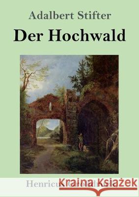 Der Hochwald (Großdruck) Adalbert Stifter 9783847826903