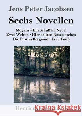 Sechs Novellen (Großdruck) Jacobsen, Jens Peter 9783847835097 Henricus