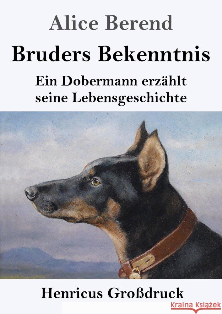 Bruders Bekenntnis (Großdruck) Berend, Alice 9783847856887 Henricus