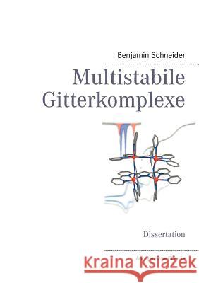 Multistabile Gitterkomplexe Benjamin Schneider 9783848232048