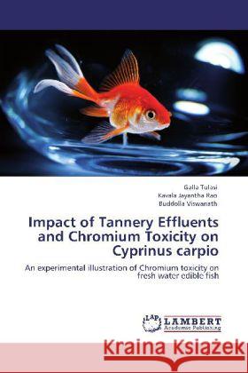 Impact of Tannery Effluents and Chromium Toxicity on Cyprinus carpio Tulasi, Galla, Jayantha Rao, Kavala, Viswanath, Buddolla 9783848403639