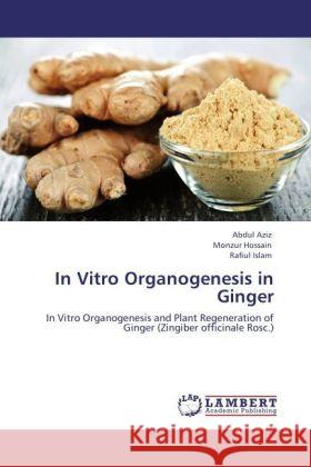 In Vitro Organogenesis in Ginger Aziz, Abdul, Hossain, Monzur, Islam, Rafiul 9783848404957