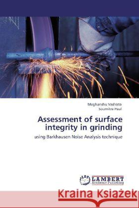 Assessment of Surface Integrity in Grinding Meghanshu Vashista, Soumitra Paul 9783848406883