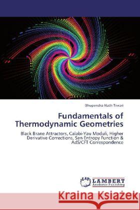 Fundamentals of Thermodynamic Geometries Tiwari, Bhupendra Nath 9783848413379